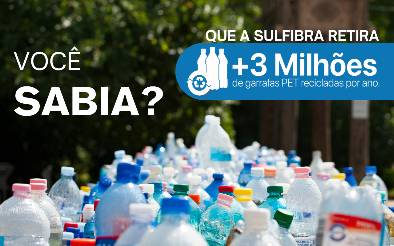 Você sabia que mais de 3 milhões de garrafas PET deixam de ir para o meio ambiente todos os anos?